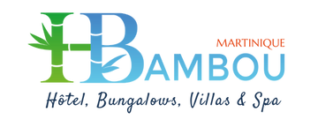 Logo HB - Hôtel, Bungalows, Villas & Spa (2).png